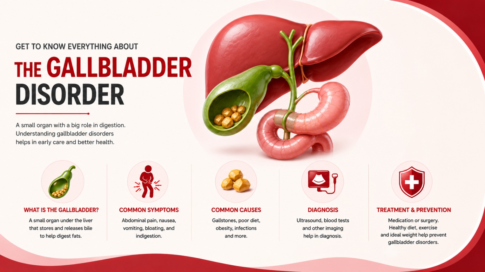 Get to know everything about the gallbladder disorder