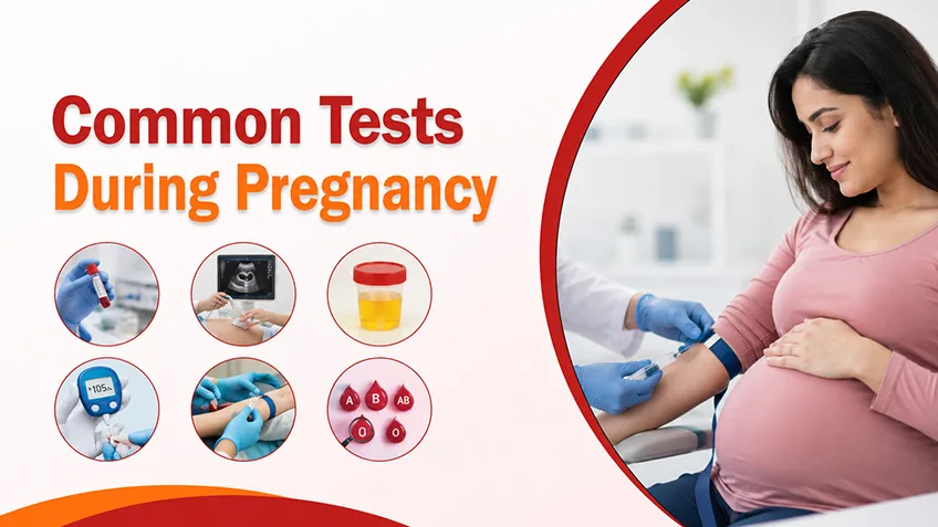 Common Tests During Pregnancy